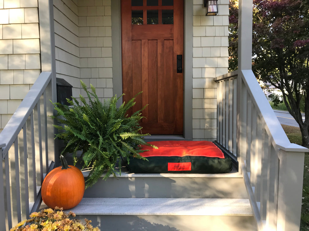 The Governor Baxter Dog Bed