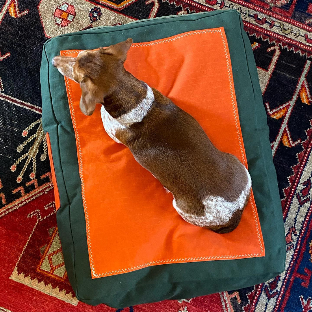The Governor Baxter Dog Bed