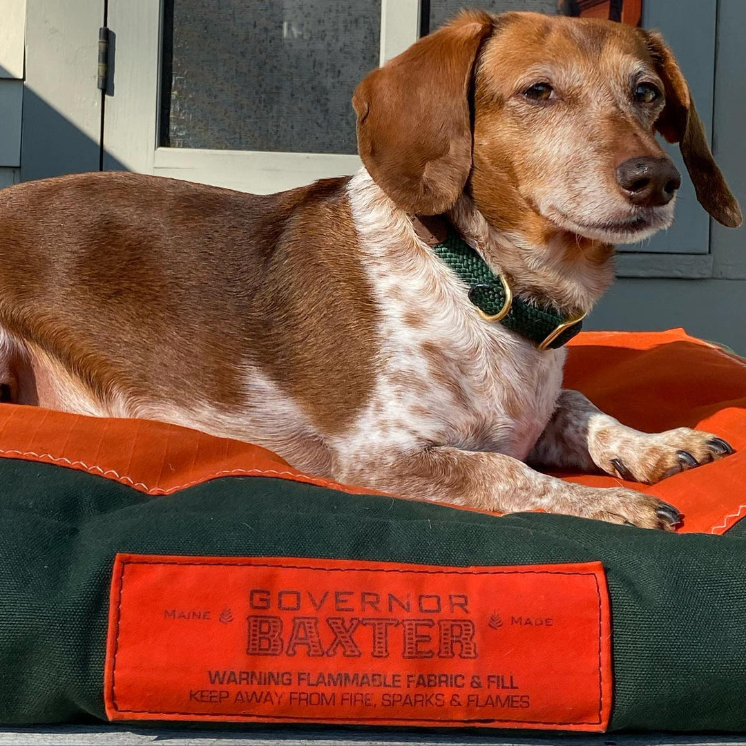 The Governor Baxter Dog Bed